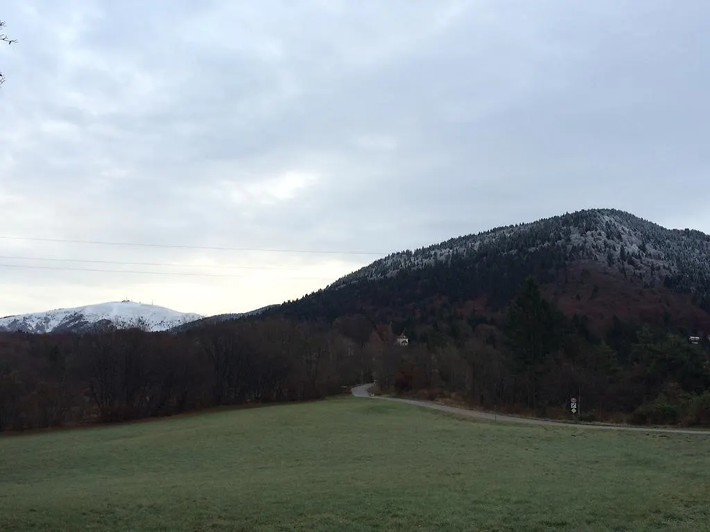 Rifugio Pranolz Guest House Trichiana